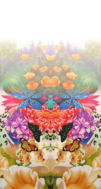 324655-定位对称亮色热带花卉花朵组合