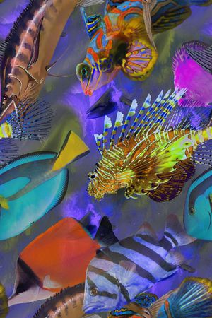 热带鱼印花华亿平台图片