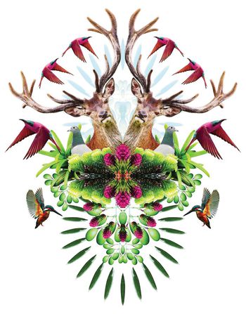 印花华亿平台图片