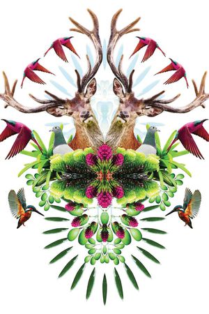 印花华亿平台图片