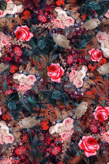 325409-神秘气质1