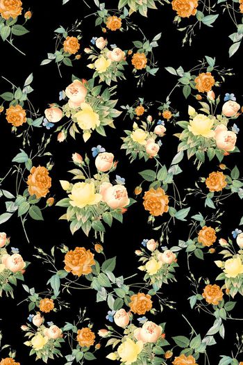 325860-百花乱舞3