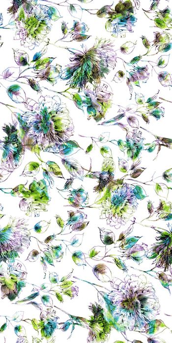 326085-手绘幻彩植物花卉1