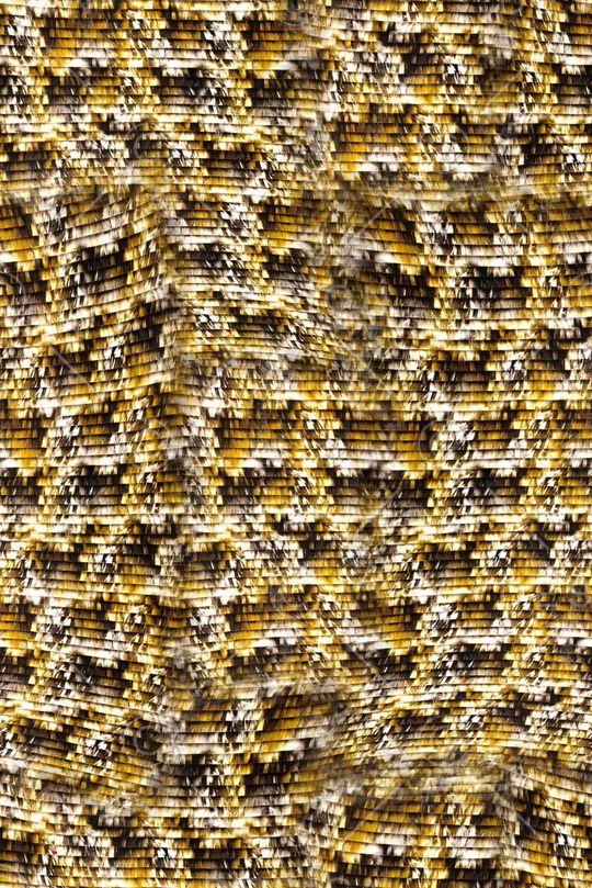 打折华亿平台印花华亿平台图片