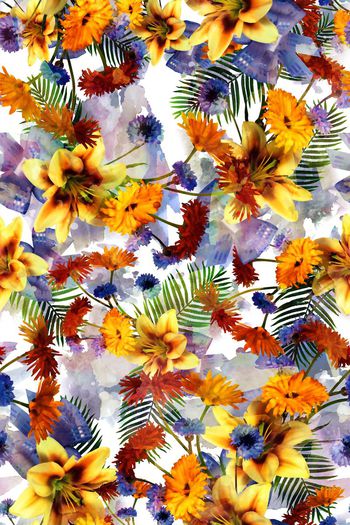 326342-多彩水彩热带效果花卉花朵组合