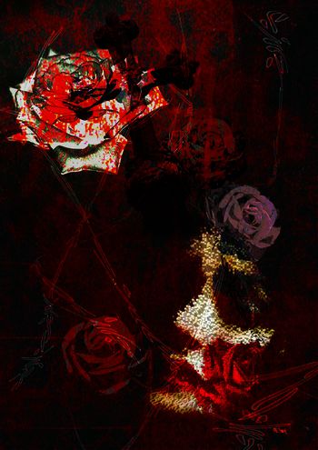 326703-人脸玫瑰2