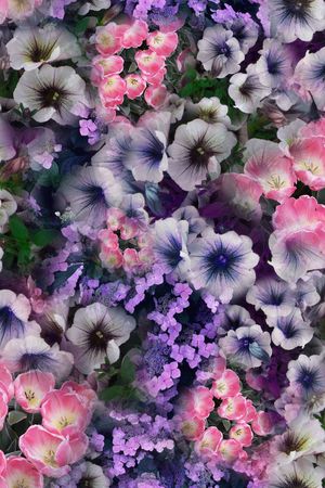 印花华亿平台图片