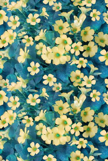 326864-满版田园小花