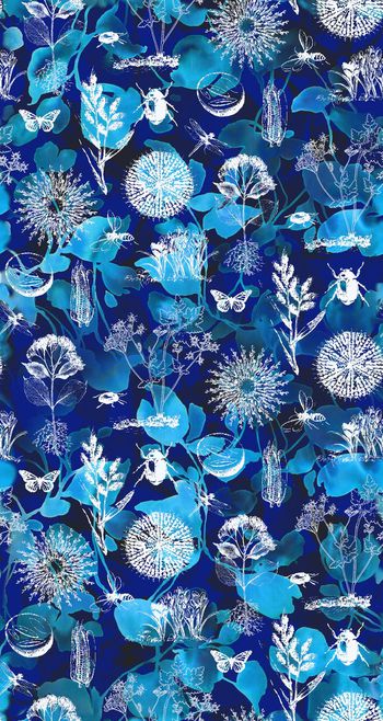 327640-自然生物植物