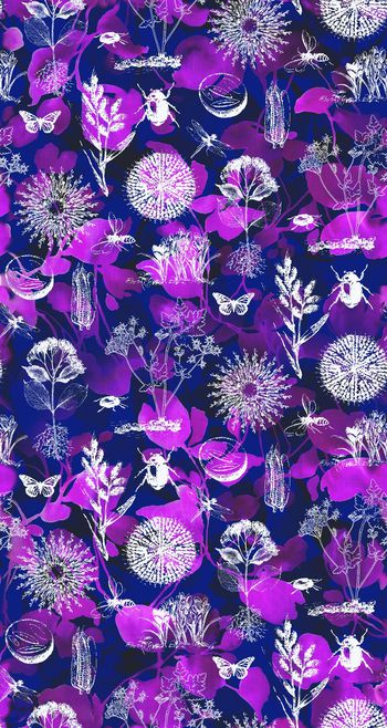 327641-自然生物植物1