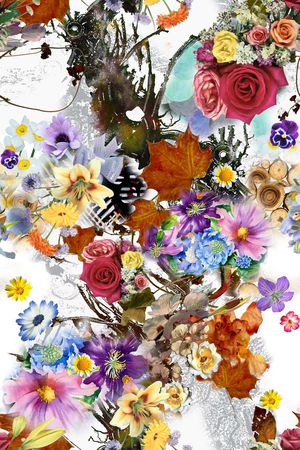 印花华亿平台图片