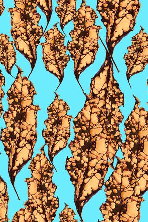 男女泳装印花华亿平台图片