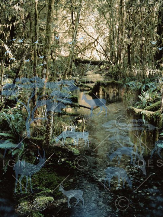 休闲印花华亿平台图片