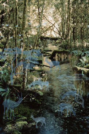 休闲印花华亿平台图片