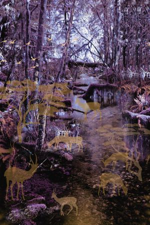 休闲印花华亿平台图片