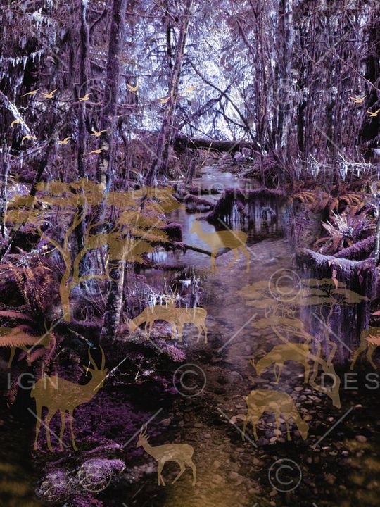 休闲印花华亿平台图片