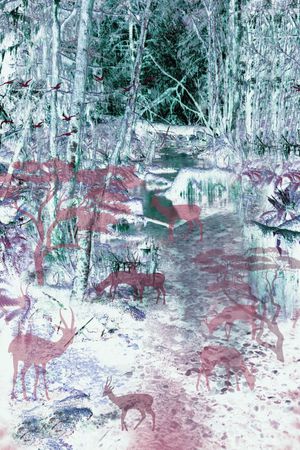 休闲印花华亿平台图片