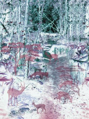 328551-丛林定位热带鹿群森林休闲印花华亿平台