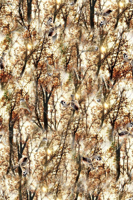 休闲印花华亿平台图片