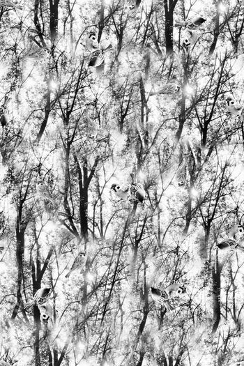 328558-树林小鸟麻雀休闲森林印花