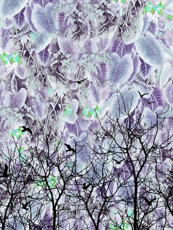 328565-定位树枝花鸟树林植物组合印花