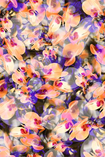 328943-多彩花卉花朵组合