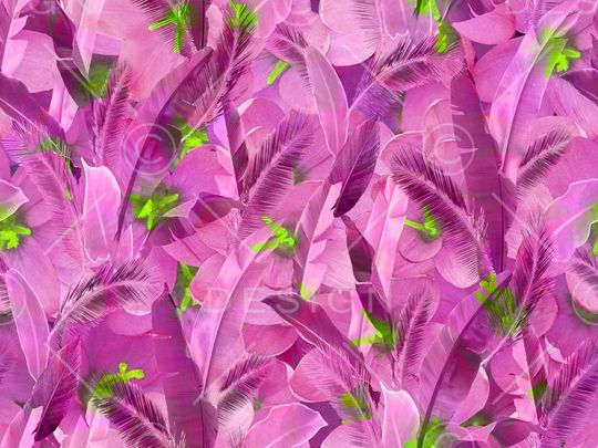 印花华亿平台图片