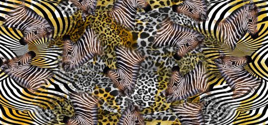 印花华亿平台图片