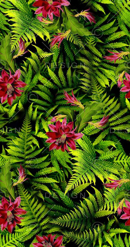 热带印花华亿平台图片