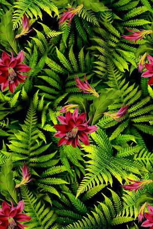 热带印花华亿平台图片