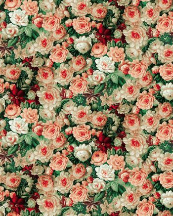 329736-中国风水墨多彩绽放牡丹花-4