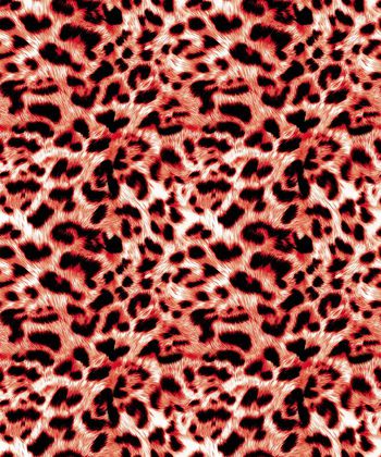 329760-豹纹-3