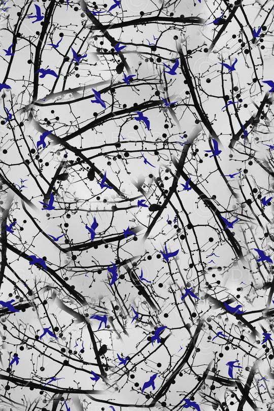 休闲印花华亿平台图片