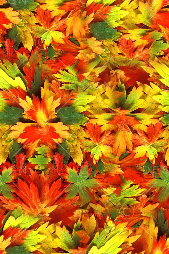 打折华亿平台印花华亿平台图片