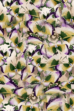 打折华亿平台印花华亿平台图片