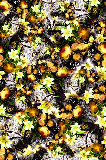 330072-花卉花朵佩斯利腰果民族底纹组合