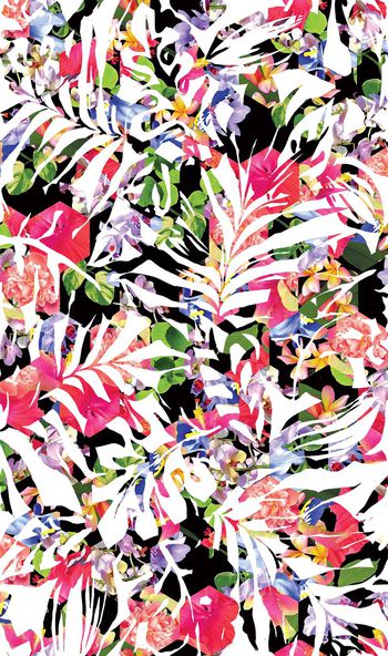 330271-热带枝叶植物花卉