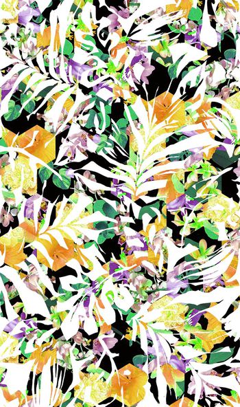 330272-热带枝叶植物花卉2