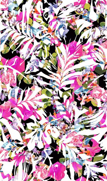 330273-热带枝叶植物花卉2