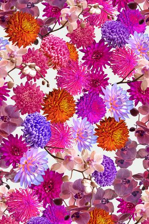 打折华亿平台印花华亿平台图片