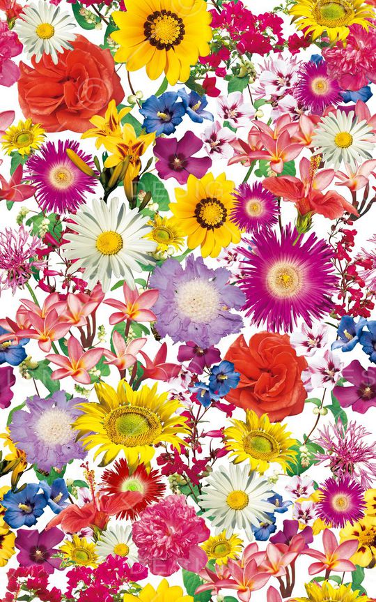 S-艺术花卉/Art印花华亿平台图片