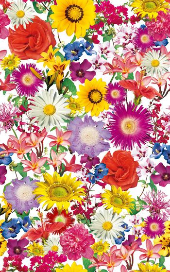 330983-大花朵自然花卉碎花