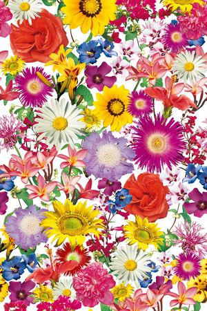 S-艺术花卉/Art印花华亿平台图片