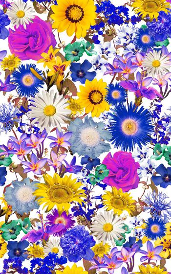 331030-大花朵自然花卉碎花1