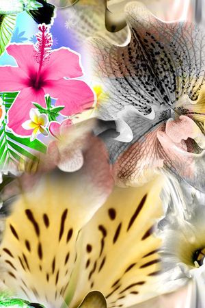 印花华亿平台图片