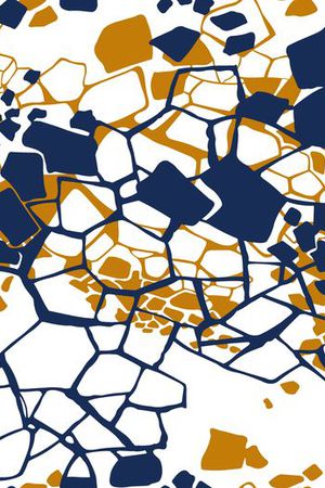 格子印花华亿平台图片