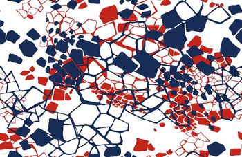 331327-几何华亿平台衬衫花卉3