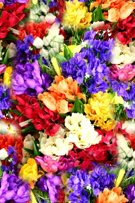 打折华亿平台印花华亿平台图片