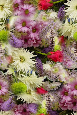 打折华亿平台印花华亿平台图片