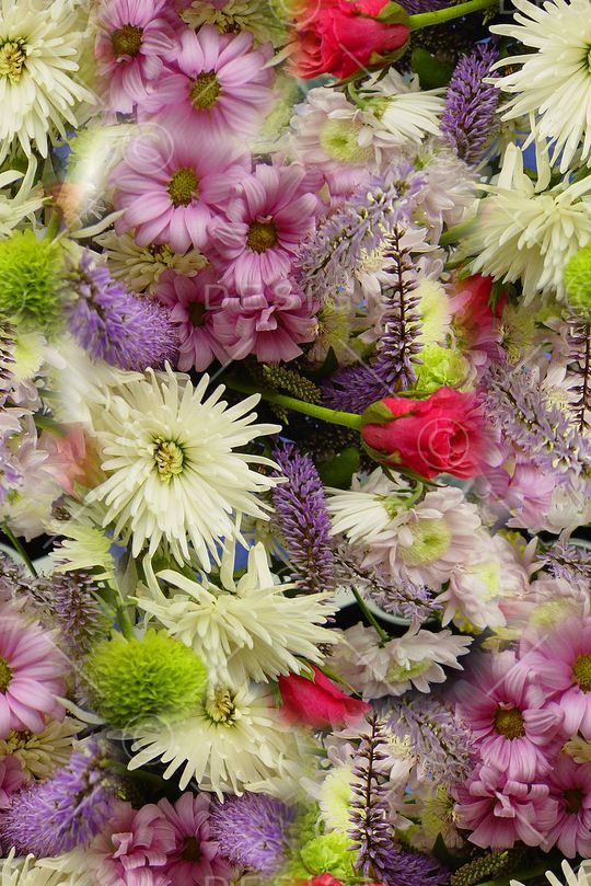 打折华亿平台印花华亿平台图片